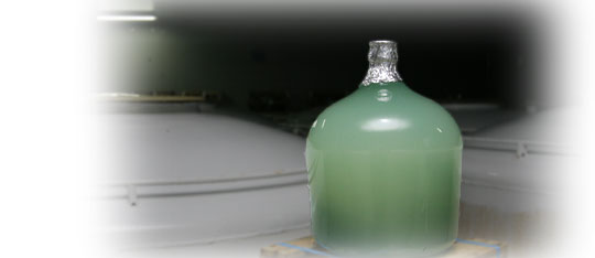 白菊酒造 製造工程