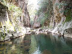 石灰岩の羽山渓